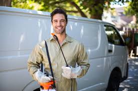 Best Fumigation Services  in Country Knolls, NY